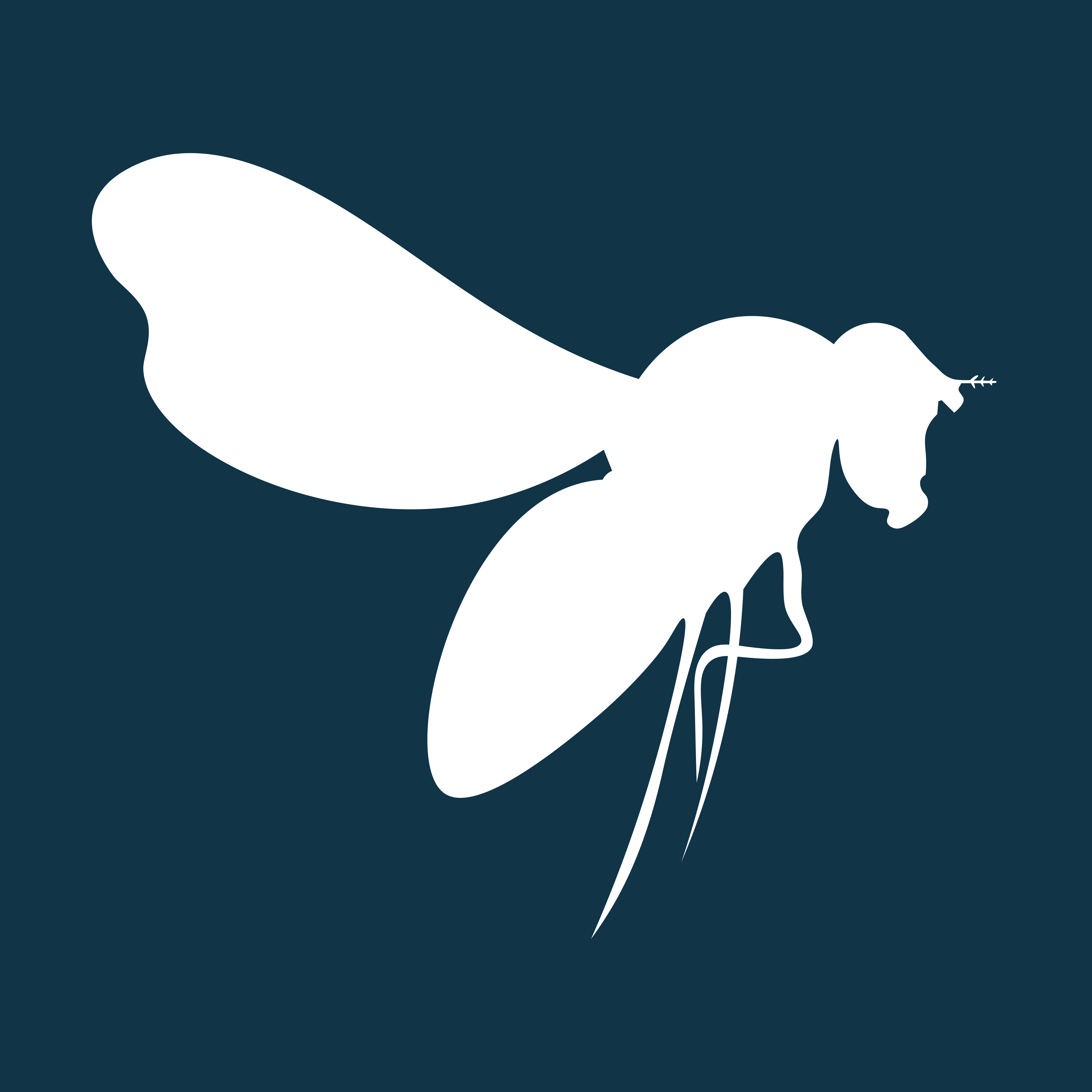 Drosophila