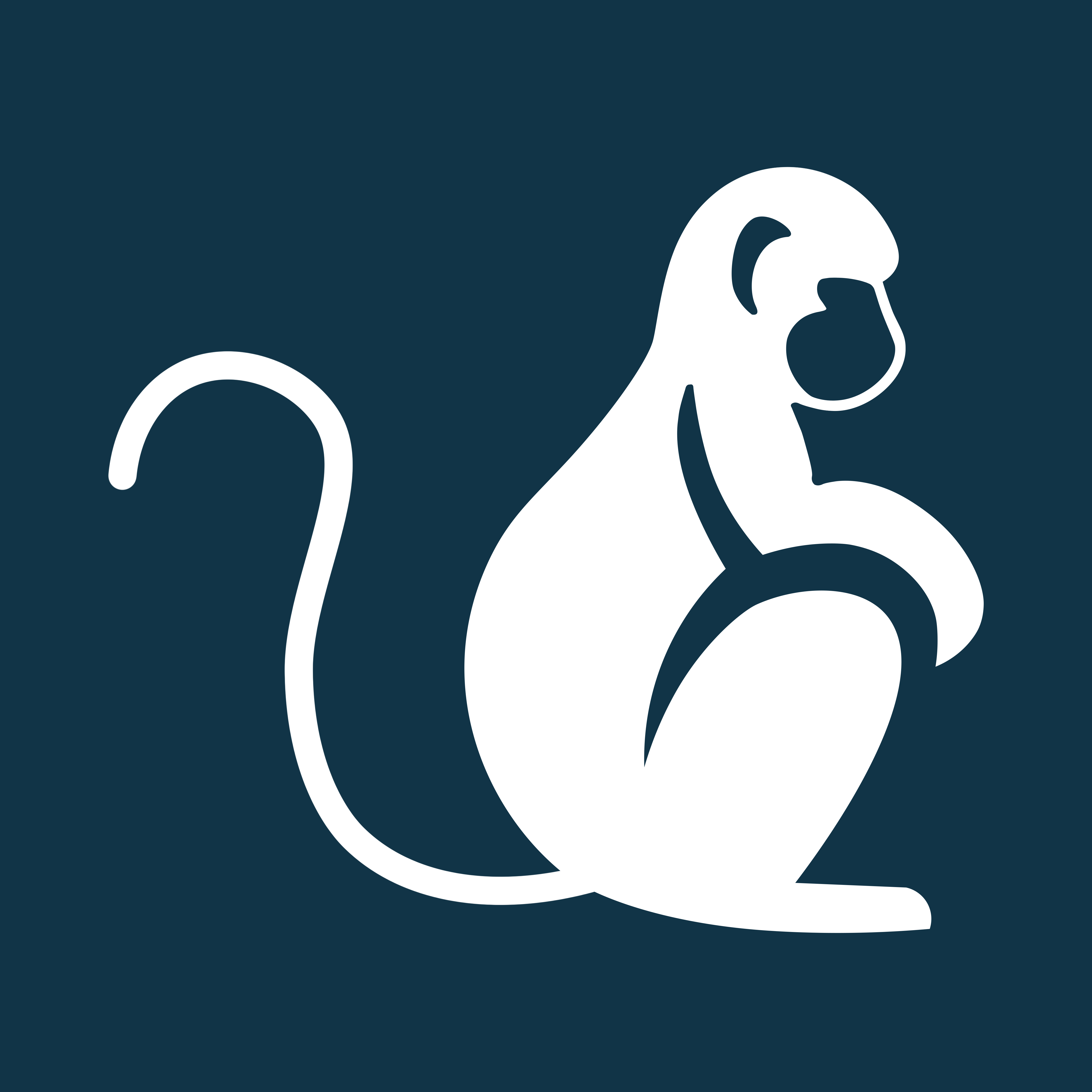 Macaca
