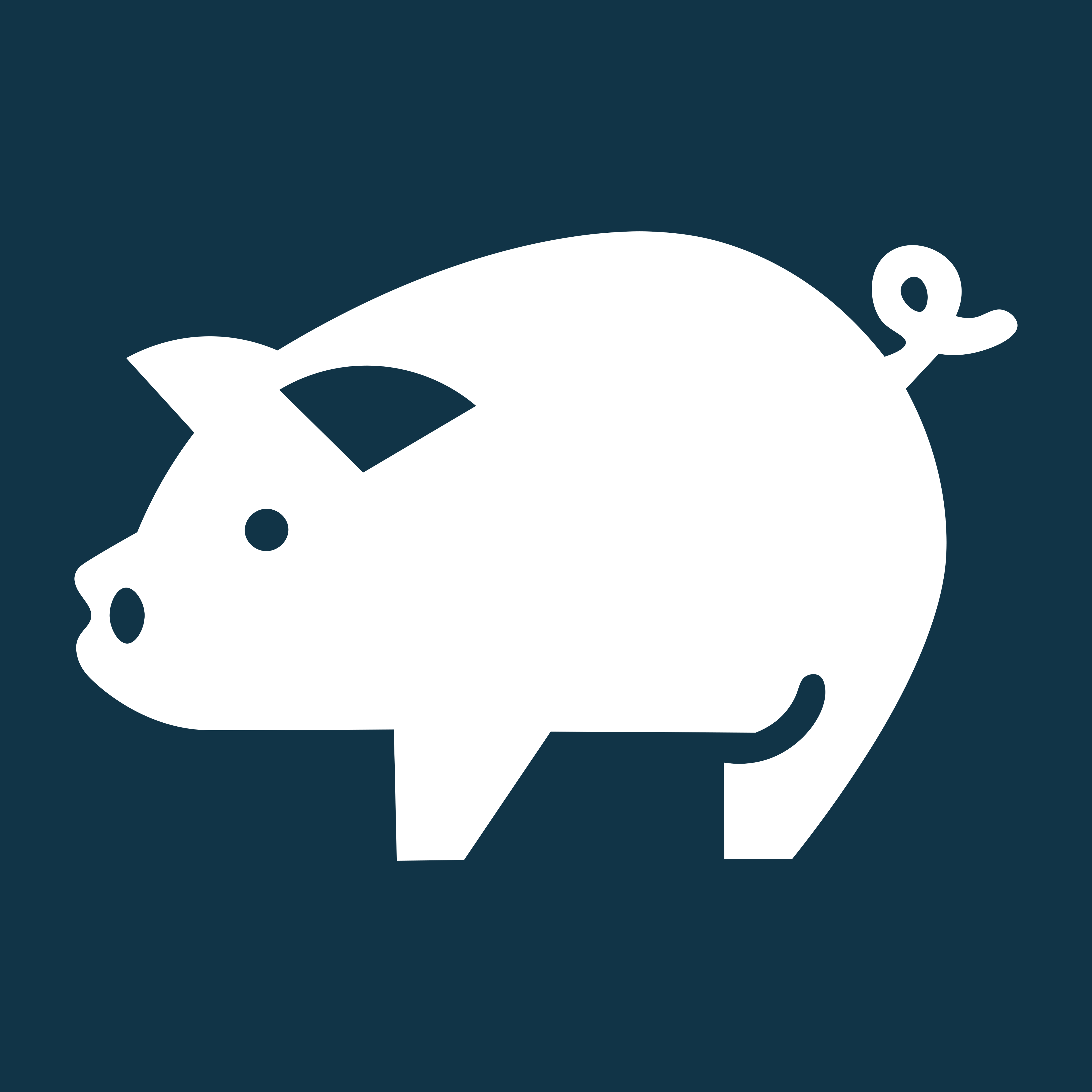 Pig