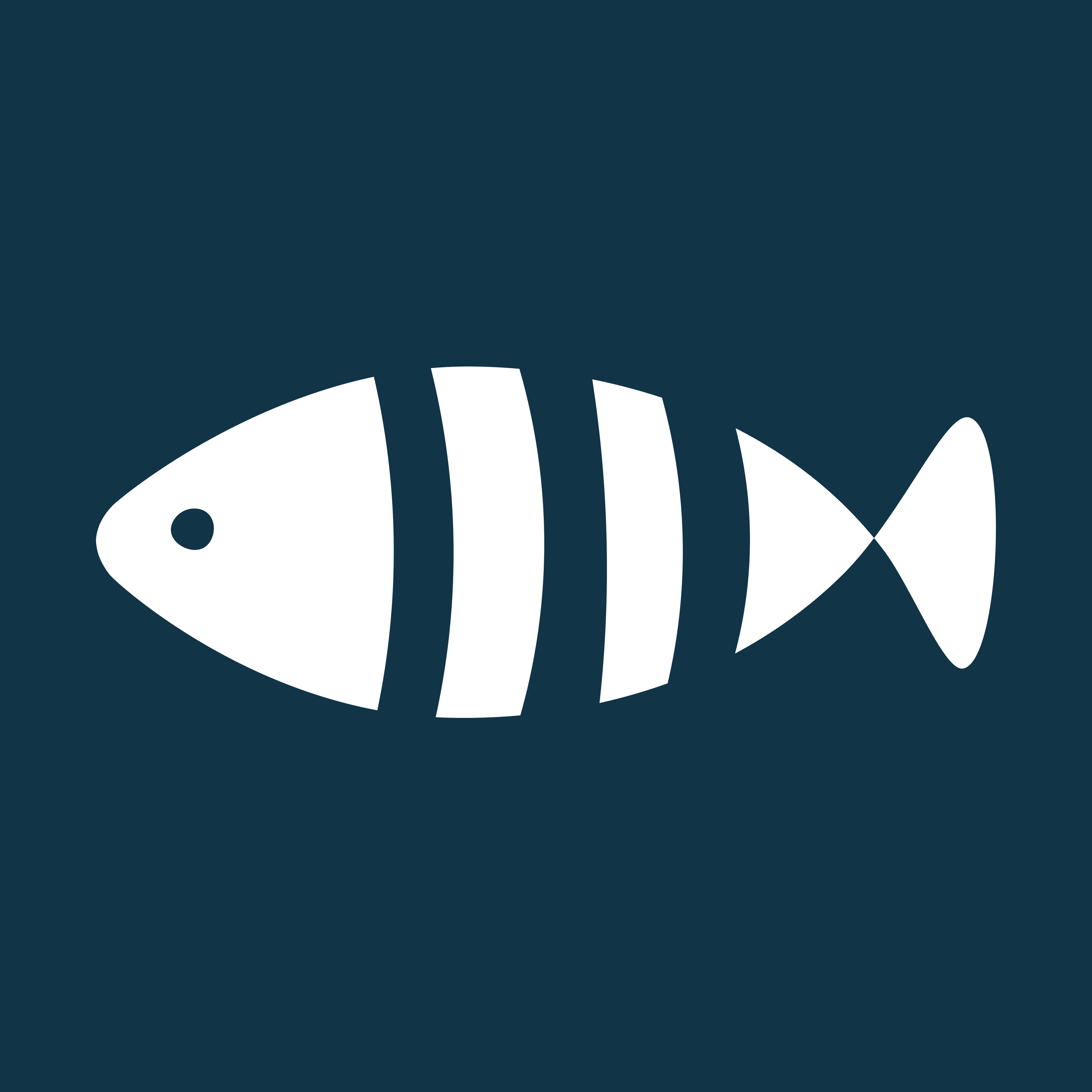 Zebrafish